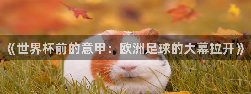 乐球直播免费观看全部
