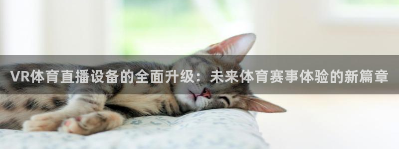 体育新闻