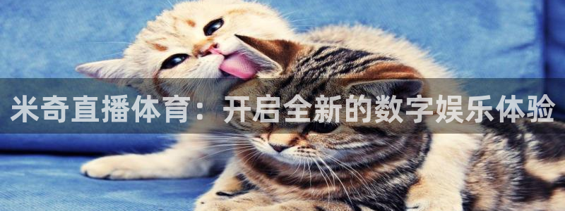 nba直播免费观看乐球直播在线