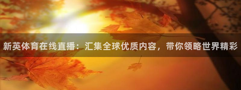 乐球直播免费看球赛