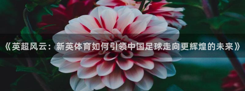 乐球直播app官网入口