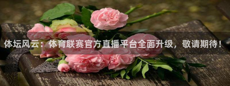 直播吧乐球直播