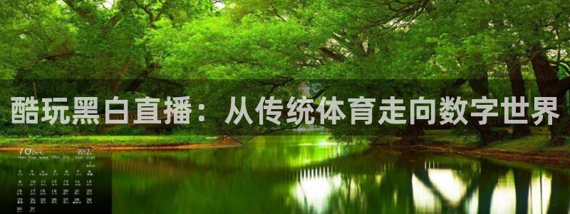 体育新闻