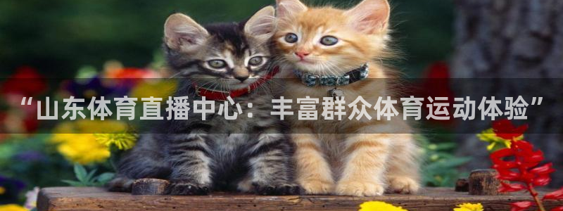 乐球直播中超