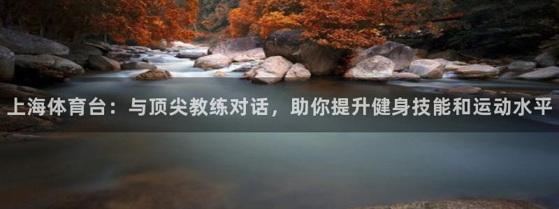 乐球直播主播