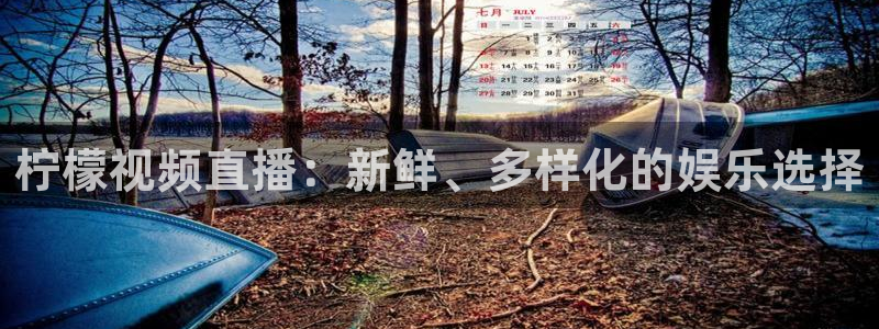 乐球直播免费观看高清