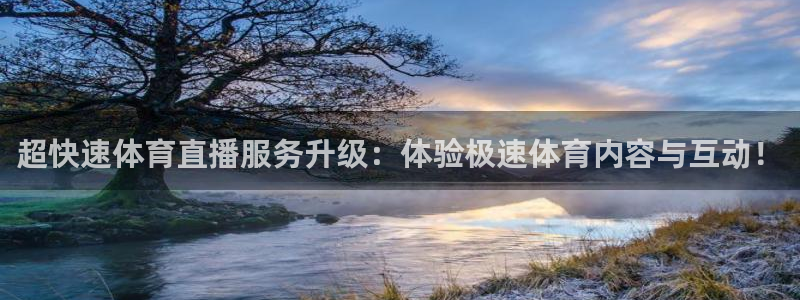 乐球直播官网入口在线观看