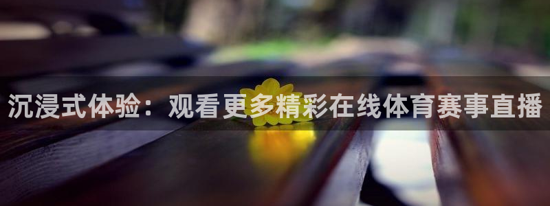 体育新闻