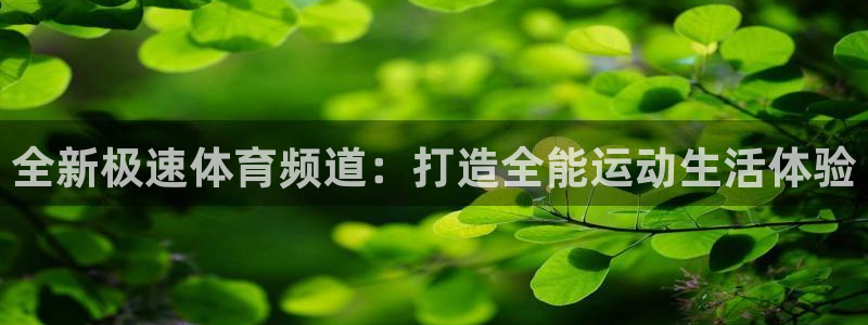 乐球直播入口